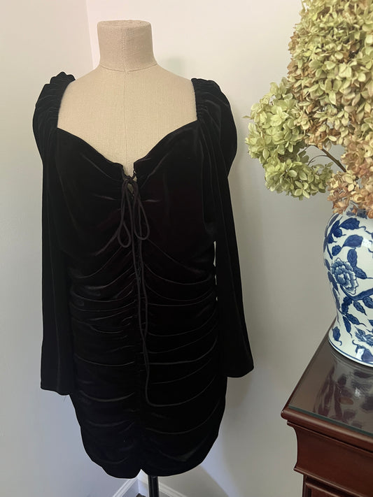 Zara Women's Ruched Velvet Dress